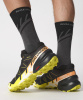 Кроссовки SPEEDCROSS 6 GTX (RU 42 UK 9 USm 9.5 СМ 27; black/sulphur spring/bird of paradise)